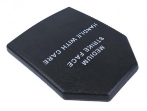 Photo A69276-1 Dummy hard PVC Sapi L3A plate set of 2