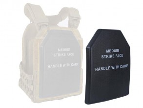 Photo A69276-3 Dummy hard PVC Sapi L3A plate set of 2