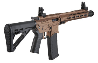 Photo LE9058-4.jpg Réplique AEG R15 MK2 Zion Arms Nebula II 10'' Bronze