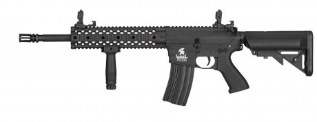 LT-12 GEN2 M4 RIS EVO combo 