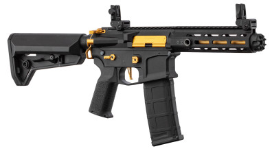 Photo NLK9105-01.jpg Réplique AEG LT-32 Hellion Noir/Gold pack complet