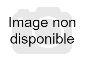 Chargeur APM  Mid-cap 120 coups noir